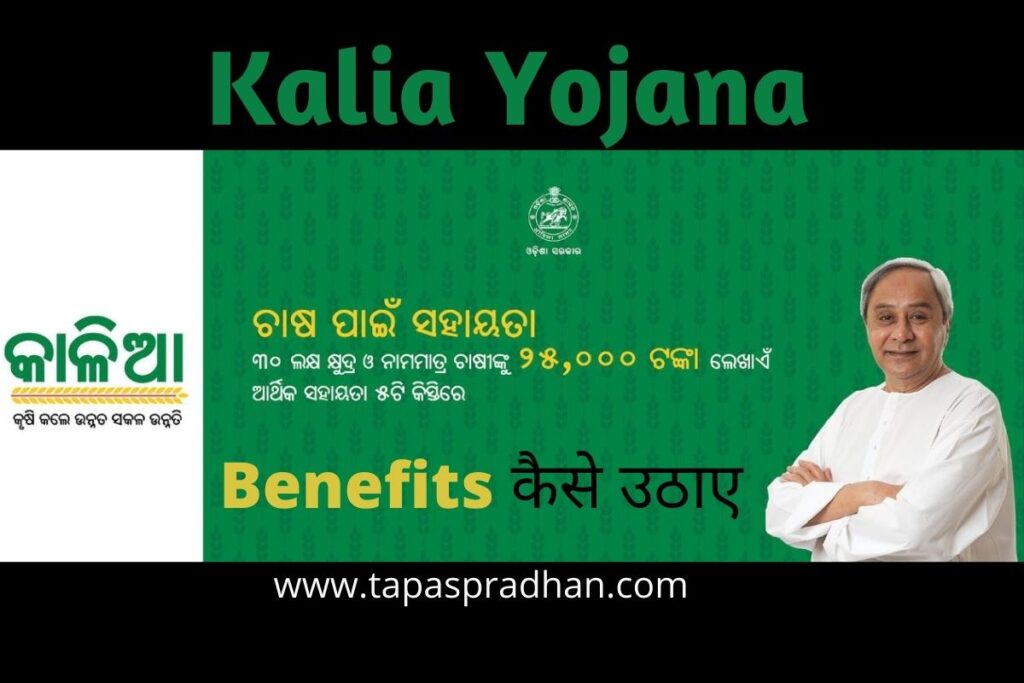 Kalia Yojana Apply Online