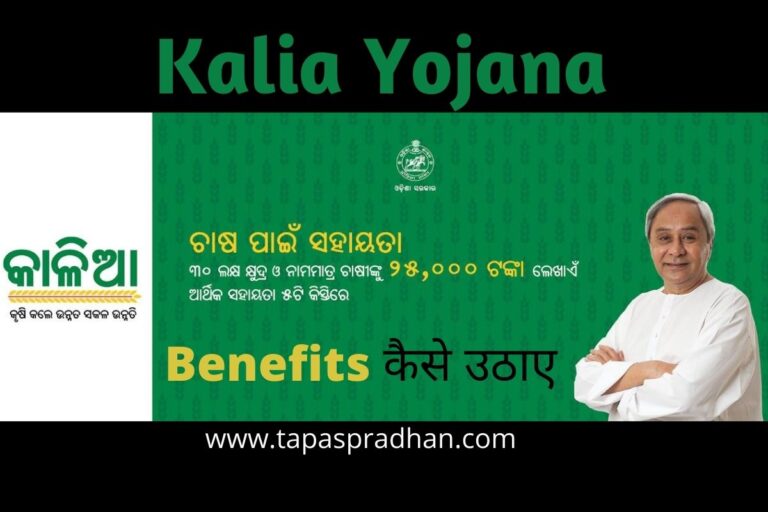 Kalia Yojana